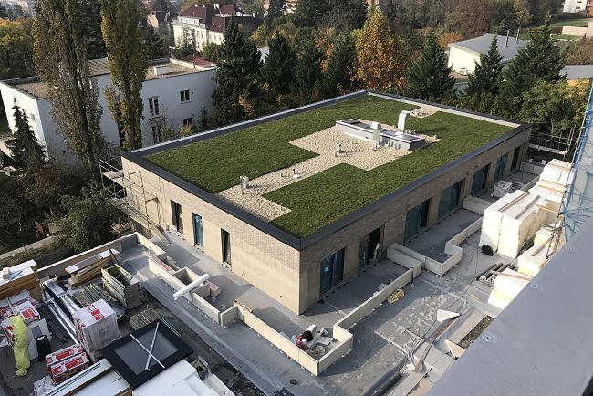 Brno podporuje zelené střechy